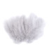 SAC PLUMES D´AUTRUCHE 12-17 CMS.