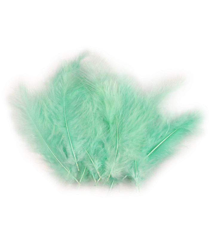 SAC PLUMES D´AUTRUCHE 12-17 CMS.