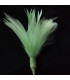 BOUQUET PLUMES D´OIE/COQ