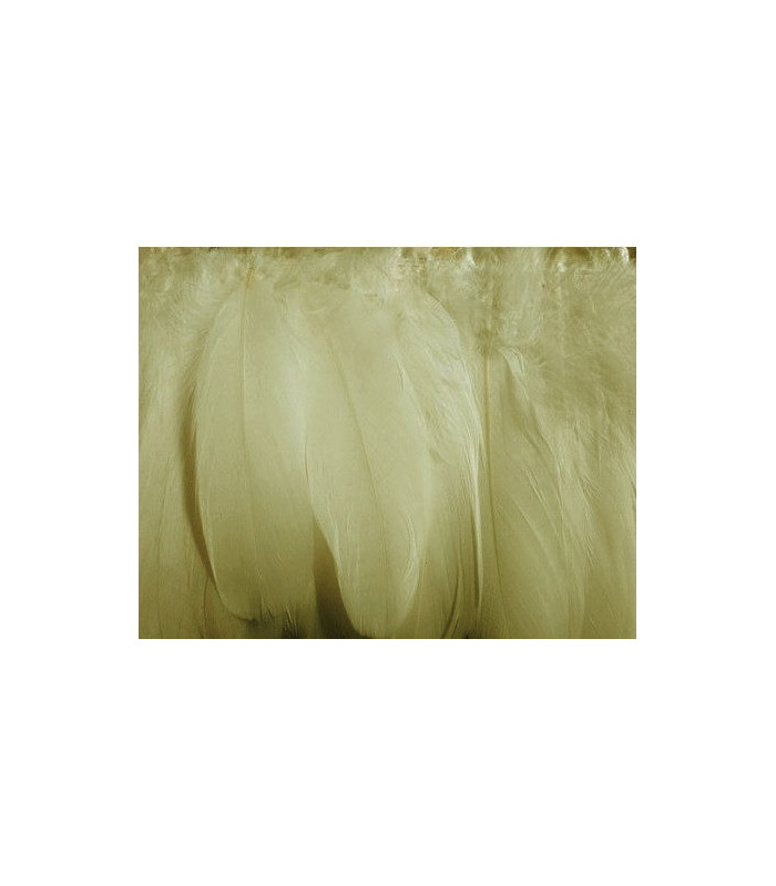 PLUMES DE d'oie 10 - 15 cm