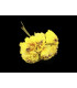 BOUQUET 6 FLEURS EN TISSU