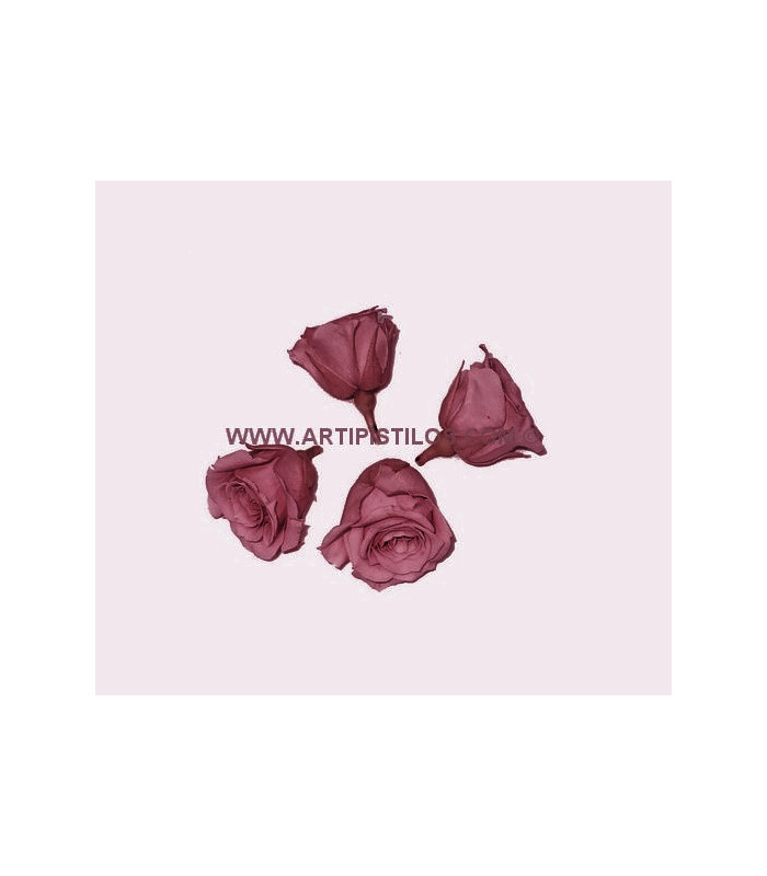PETITE ROSE PRÉSERVÉE 2 X 2 CMS.