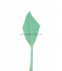 PLUME POINTE DE FLÈCHE 30 CMS.
