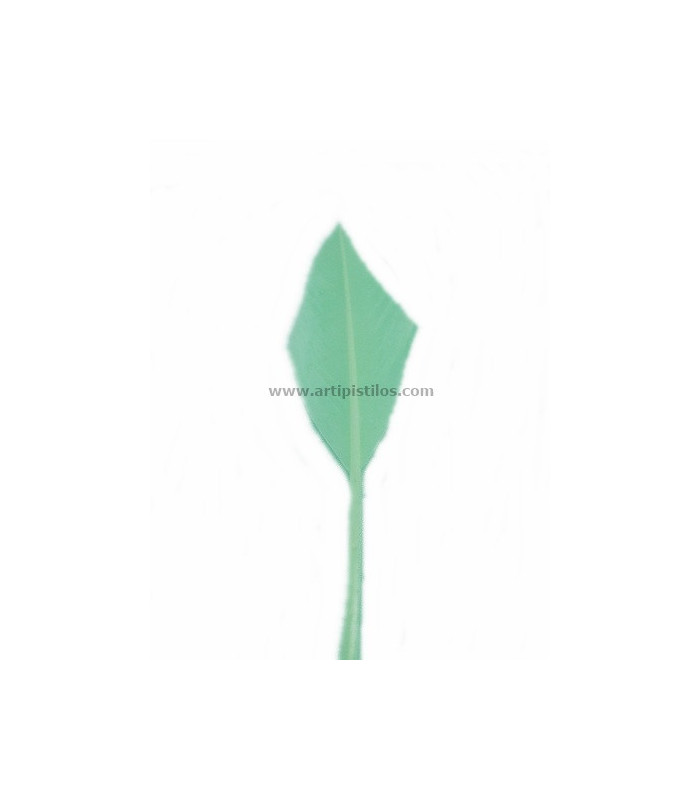 PLUME POINTE DE FLÈCHE 30 CMS.