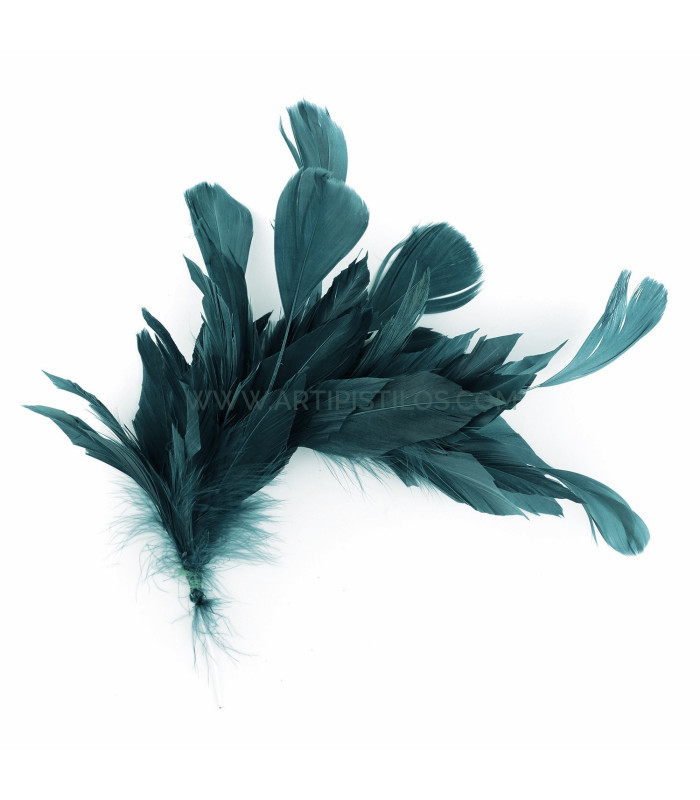 MONTAGE DE PLUMES DE CANARD ET ANTENNE COQ