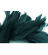 MONTAGE DE PLUMES DE CANARD ET ANTENNE COQ