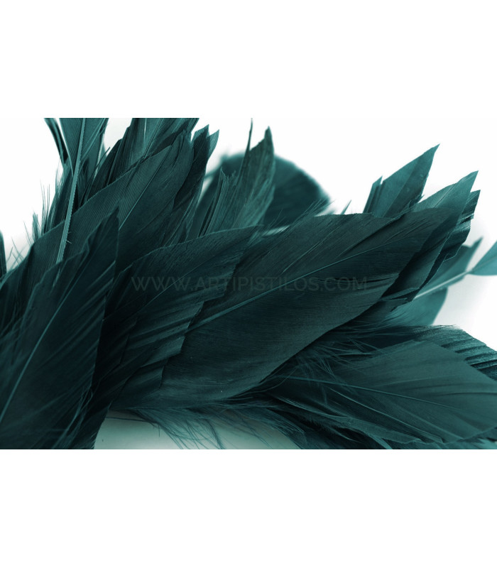 MONTAGE DE PLUMES DE CANARD ET ANTENNE COQ