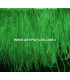 FRANGE PLUMES D´AUTRUCHE - 10 CMS.