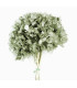 Hortensia préservé naturel