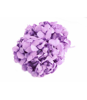 BOUQUET HORTENSIA PRÉSERVÉE