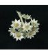 FLEUR DE PORCELAINE FROIDE 1,2 CM