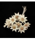 FLEUR DE PORCELAINE FROIDE 1,2 CM