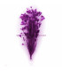 ASSEMBLAGE DE PLUMES DE COQ