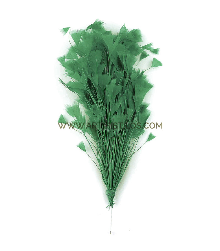ASSEMBLAGE DE PLUMES DE COQ