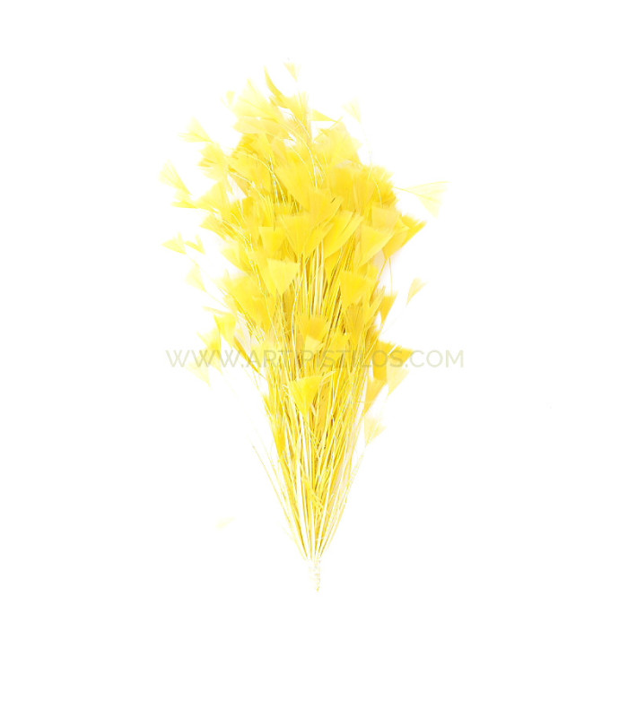 ASSEMBLAGE DE PLUMES DE COQ
