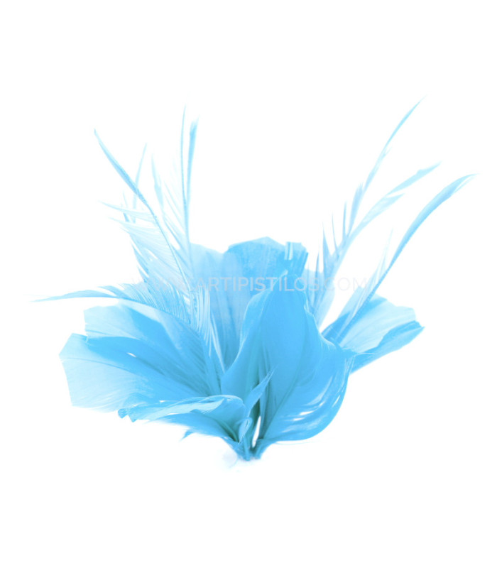 ASSEMBLAGE DE PLUMES DE CANARD ET D'OIE BIOT