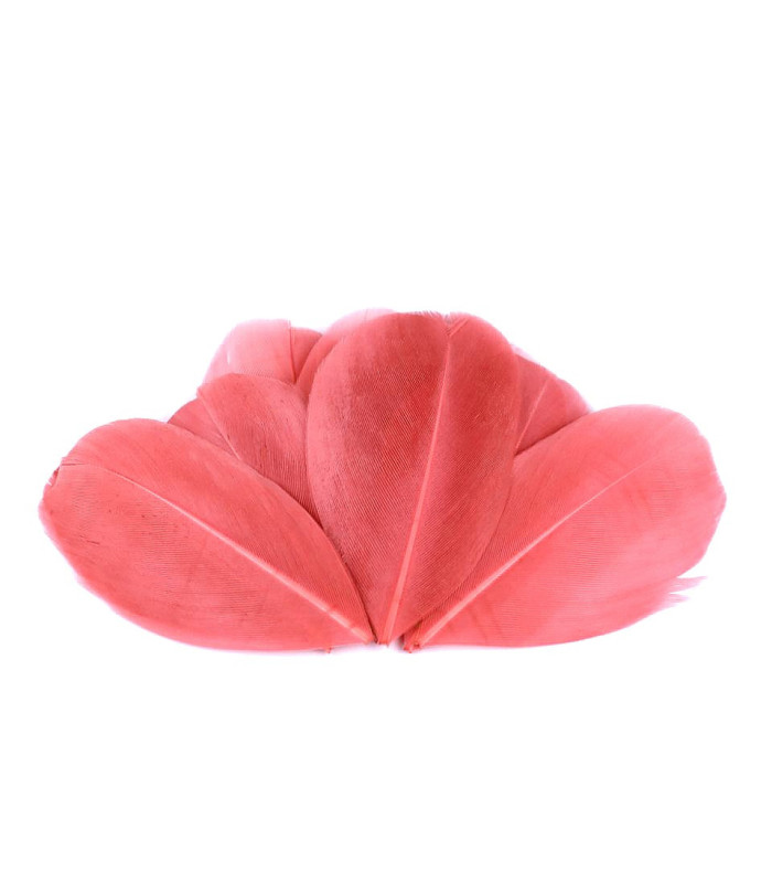 Plumes d'oie 5,5 - 7 cm x 10 pcs