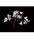 Bijou fantaisie ornemental
