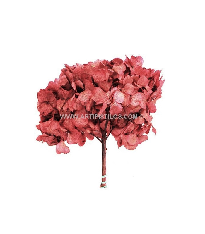 BOUQUET HORTENSIA PRÉSERVÉE
