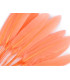 SAC 20 PLUMES DE CANARD 9-14 CMS.