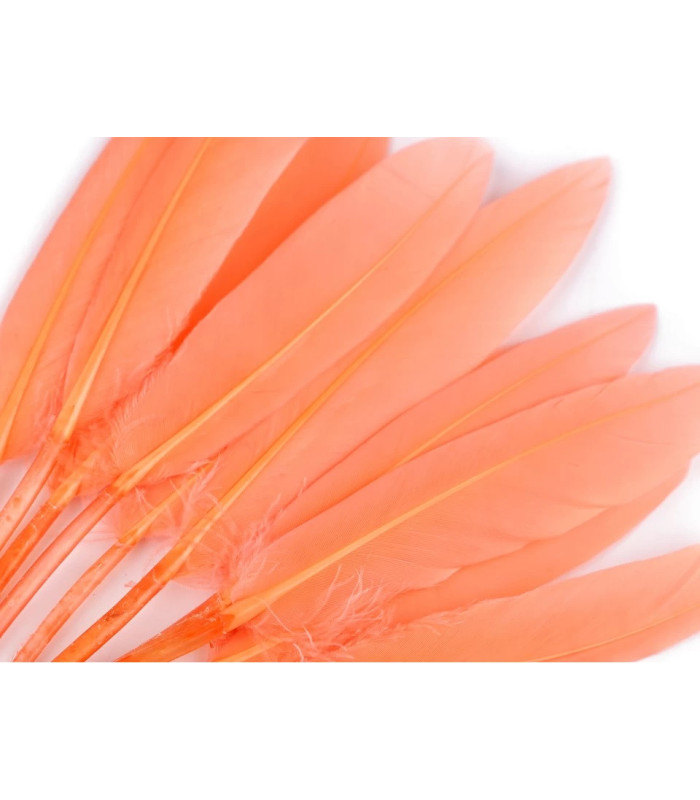 SAC 20 PLUMES DE CANARD 9-14 CMS.
