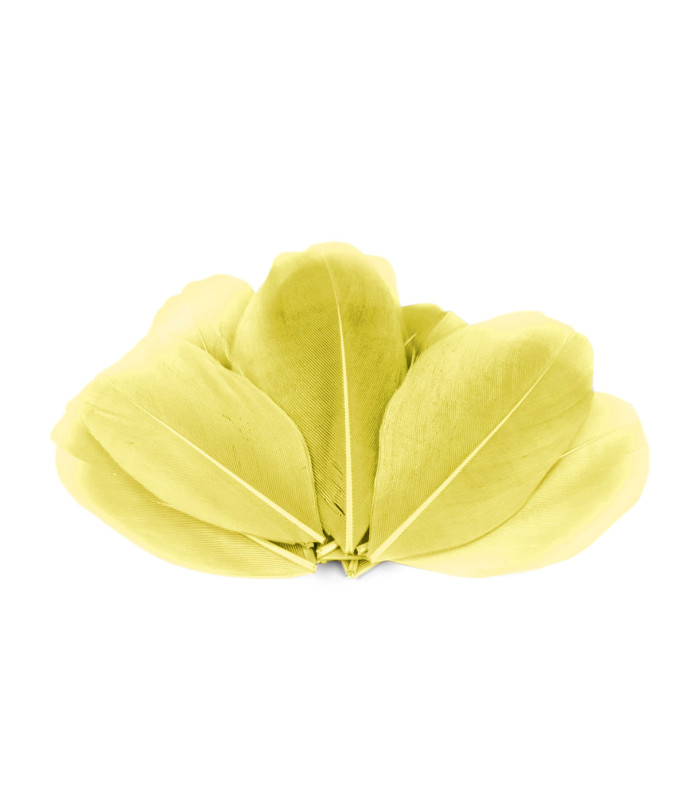Plumes d'oie 5,5 - 7 cm x 10 pcs