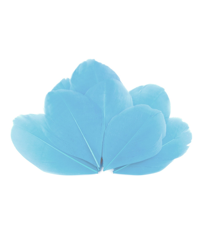 Plumes d'oie 5,5 - 7 cm x 10 pcs