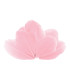 Plumes d'oie 5,5 - 7 cm x 10 pcs