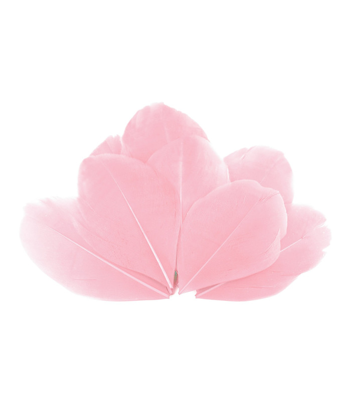 Plumes d'oie 5,5 - 7 cm x 10 pcs