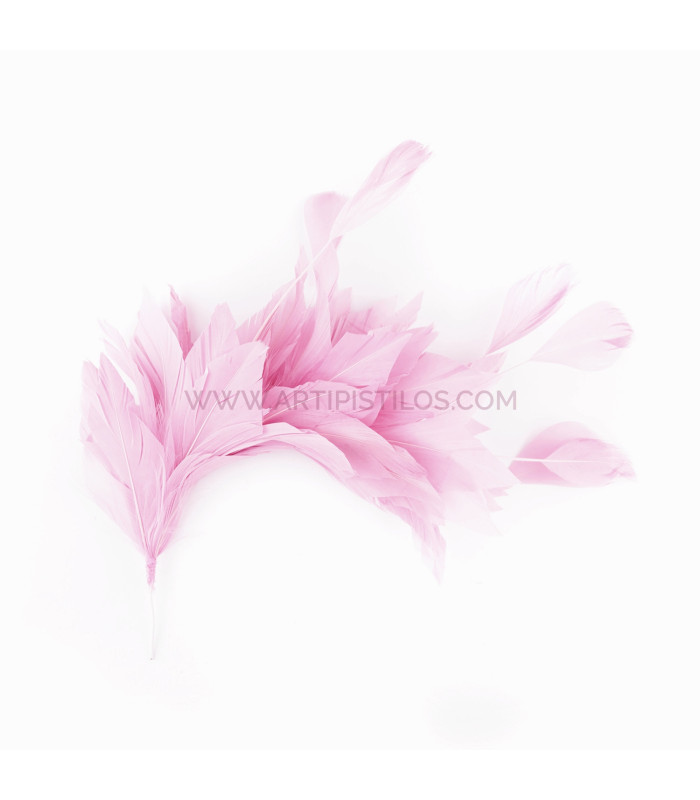 MONTAGE DE PLUMES DE CANARD ET ANTENNE COQ