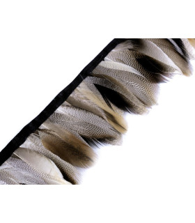 RUBAN DE 10 CMS. CANARD SAUVAGE