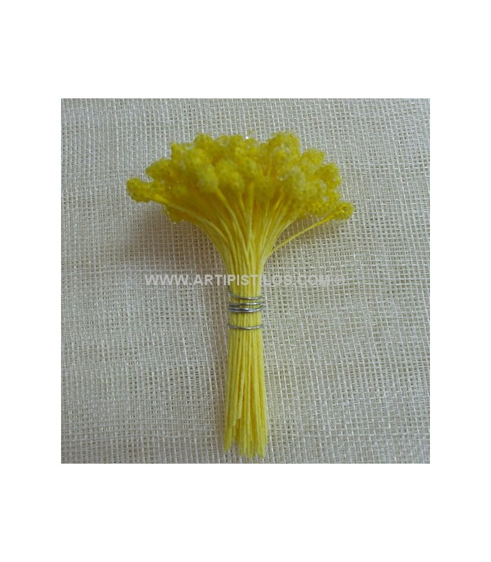 PISTIL GRANULÉ JAUNE