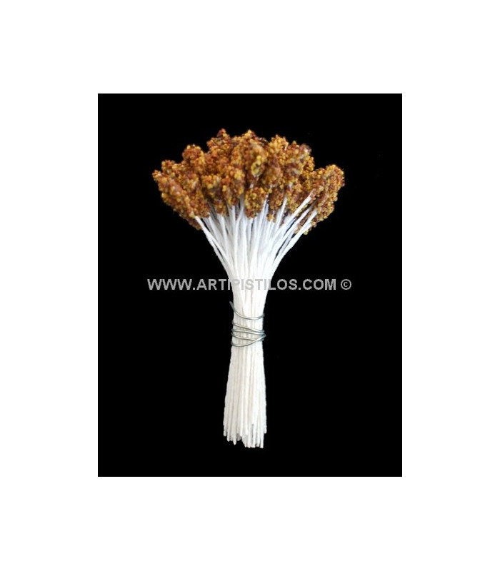 PISTIL SPÉCIAL FABRIQUÉ AVEC GRAINES NATURELLES