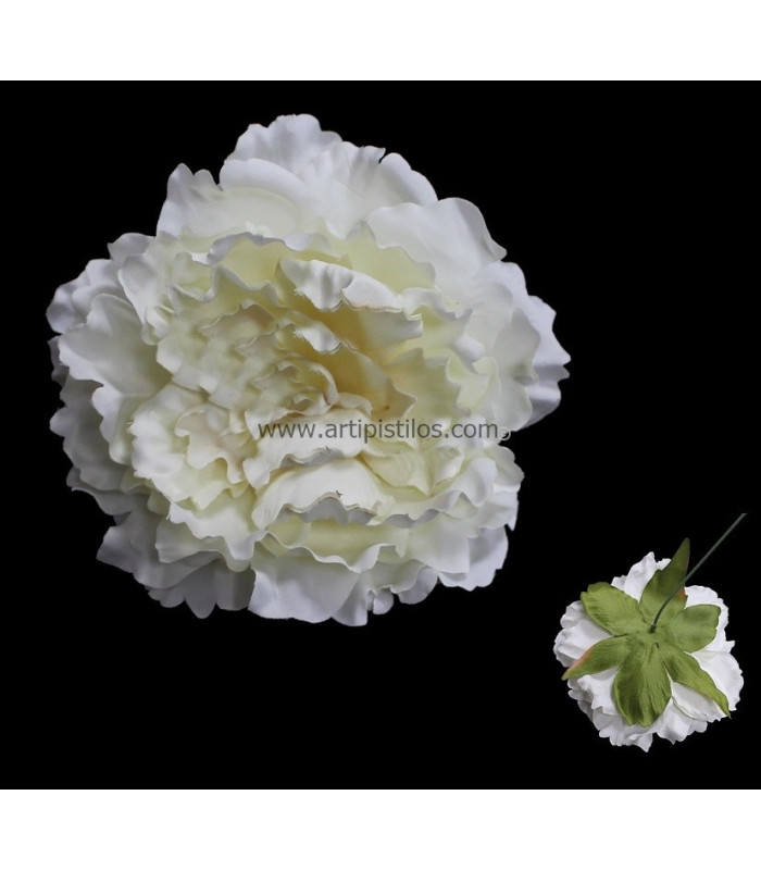 TÊTE DE PIVOINE 18 X 6 CMS.