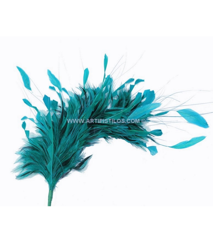 MONTAGE DE PLUMES