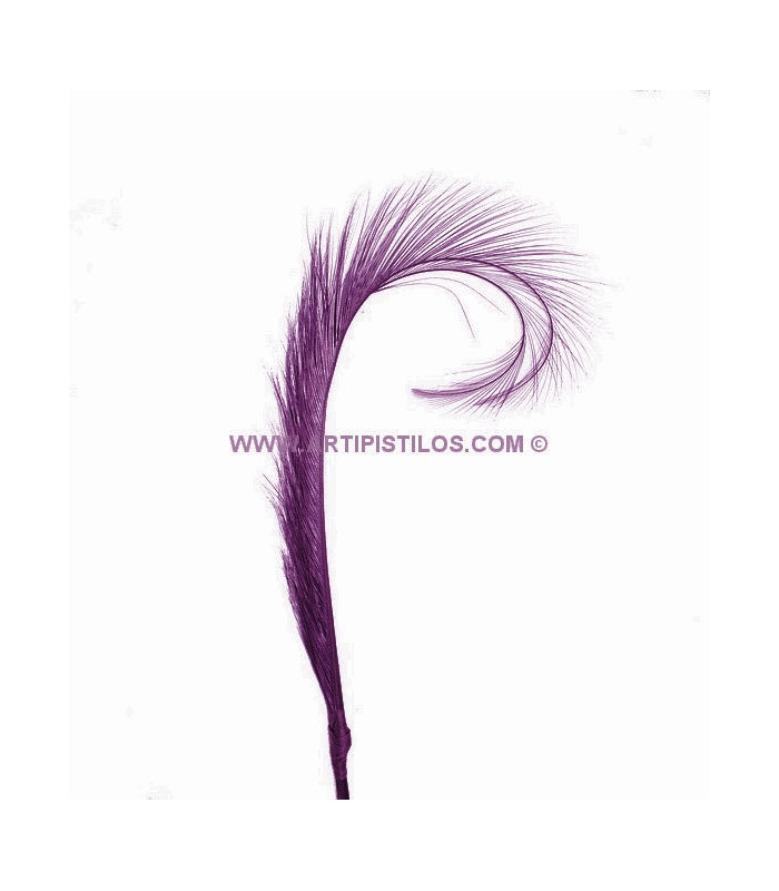 LOT DE 2 PLUMES DE FAISAN BRÛLÉ