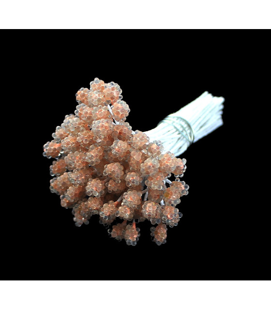 Lot De Pistils Et Étamines Artificiels Multicolores 1mm - Pour DIY Fleurs, Cartes, Décorations