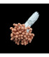 Bouquet de 80 pistils brillants 3,3 MM.