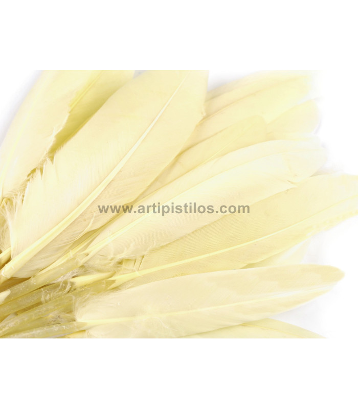 SAC 20 PLUMES DE CANARD 9-14 CMS.