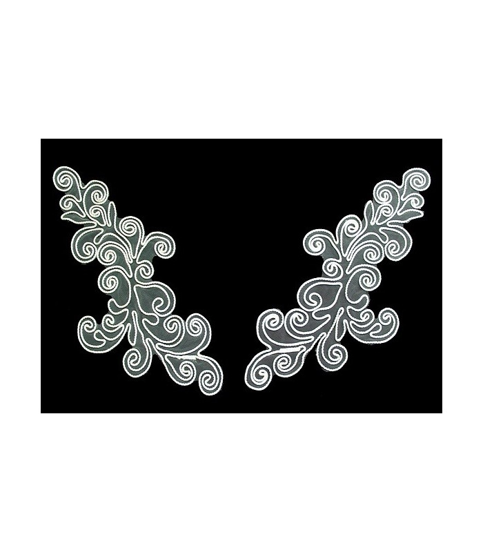 APPLICATION RAYONNE ET TULLE