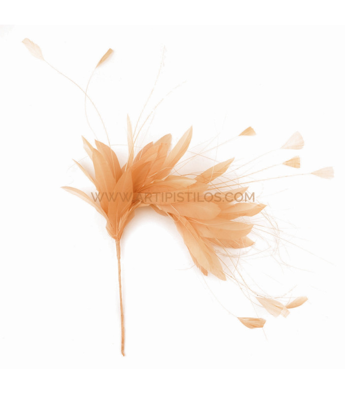 MONTAGE DE PLUMES COQ/AUTRUCHE/OIE