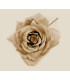 ROSE EN TISSU "TRIANA"