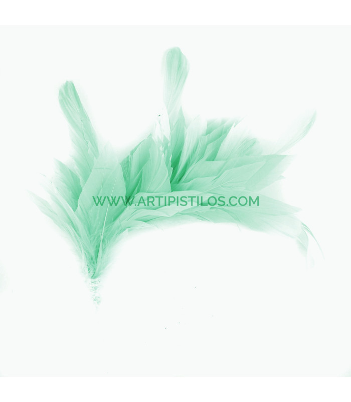 MONTAGE DE PLUMES DE CANARD ET ANTENNE COQ