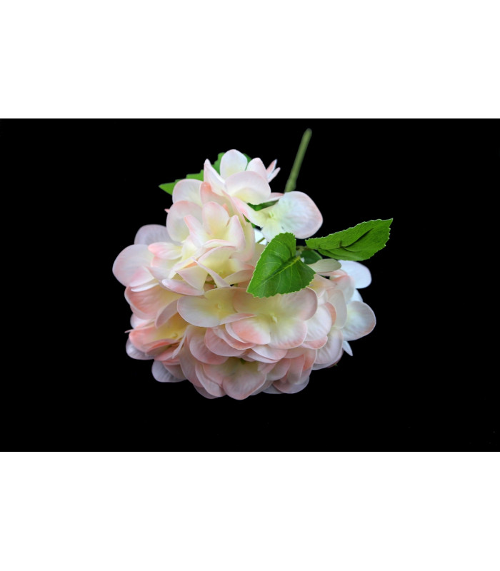 BOUQUET D'HORTENSIAS TOUCHER NATUREL "NATURE"
