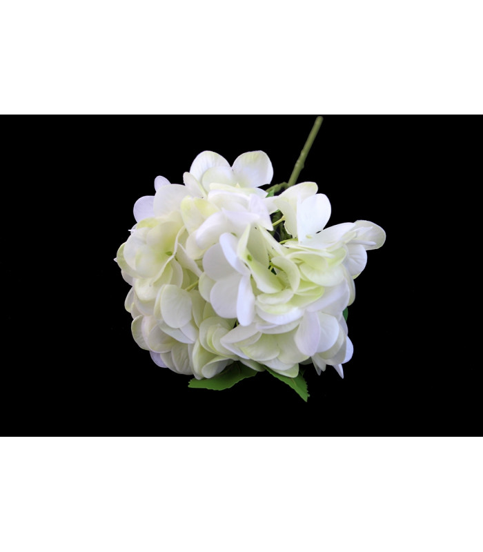 BOUQUET D'HORTENSIAS TOUCHER NATUREL "NATURE"