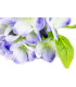 BOUQUET D'HORTENSIAS TOUCHER NATUREL "NATURE"