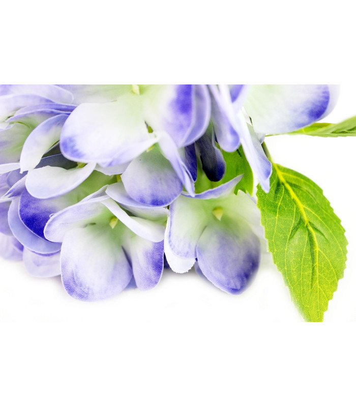 BOUQUET D'HORTENSIAS TOUCHER NATUREL "NATURE"