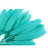 SAC 20 PLUMES DE CANARD 9-14 CMS.