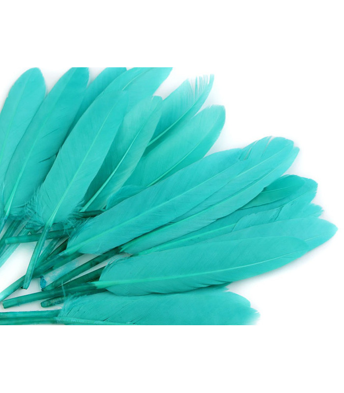 SAC 20 PLUMES DE CANARD 9-14 CMS.