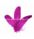 PLUME DE CANARD 15 CMS.
